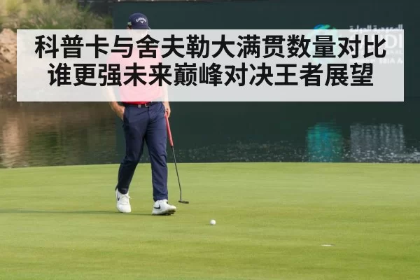 科普卡与舍夫勒大满贯数量对比谁更强未来巅峰对决王者展望